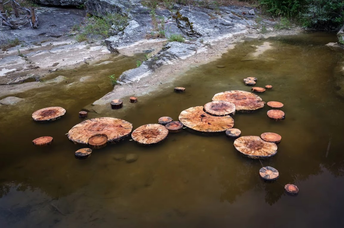 International Gabrovtsi ART-NATURE Symposium, Bulgaria (2024)